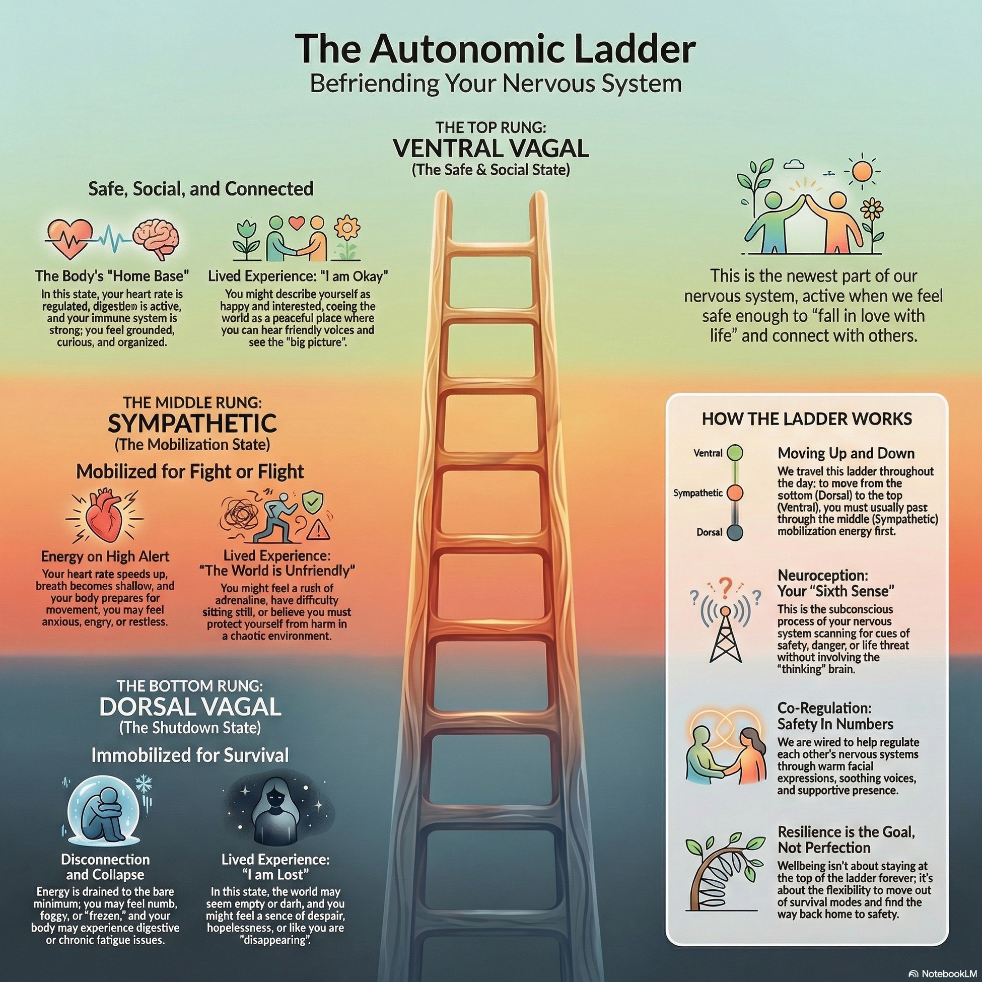 The Polyvagal Ladder: Your Roadmap Out of Panic